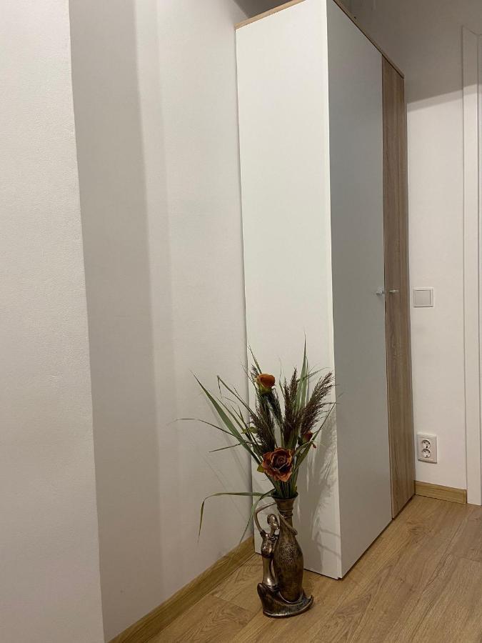 Daniela'S Apartaments Sighişoara Exteriér fotografie